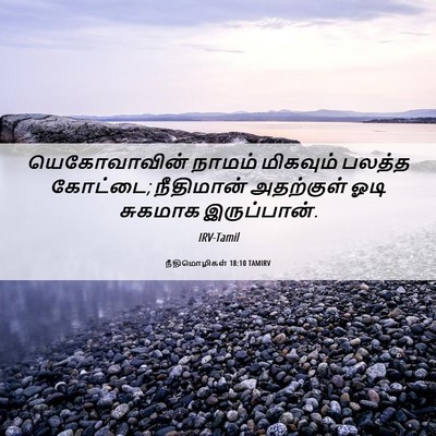 Picture 06 - நீதிமொழிகள் 18:10 TAMIRV - யெகோவாவின் நாமம் - Bible Verse Picture