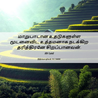 Picture 06 - நீதிமொழிகள் 19:1 TAMIRV - மாறுபாடான - Bible Verse Picture