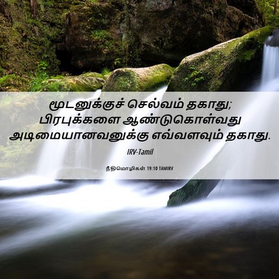 Picture 06 - நீதிமொழிகள் 19:10 TAMIRV - மூடனுக்குச் - Bible Verse Picture