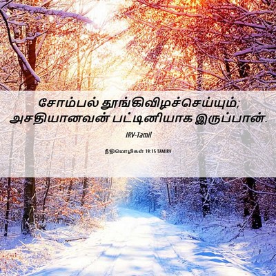 Picture 06 - நீதிமொழிகள் 19:15 TAMIRV - சோம்பல் - Bible Verse Picture