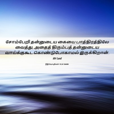 Picture 06 - நீதிமொழிகள் 19:24 TAMIRV - சோம்பேறி தன்னுடைய - Bible Verse Picture