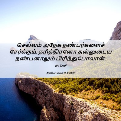Picture 06 - நீதிமொழிகள் 19:4 TAMIRV - செல்வம் அநேக - Bible Verse Picture
