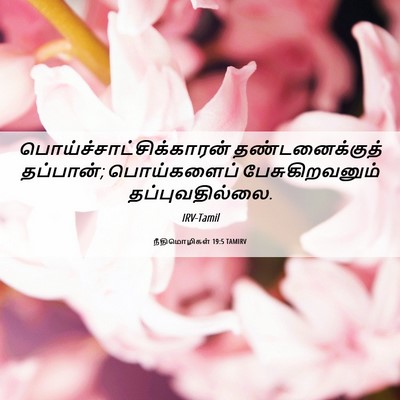 Picture 06 - நீதிமொழிகள் 19:5 TAMIRV -  - Bible Verse Picture