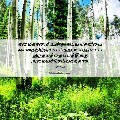 Picture 06 - நீதிமொழிகள் 2:1 TAMIRV - என் மகனே, நீ - Bible Verse Picture