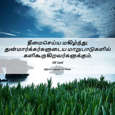 Picture 06 - நீதிமொழிகள் 2:14 TAMIRV - தீமைசெய்ய - Bible Verse Picture