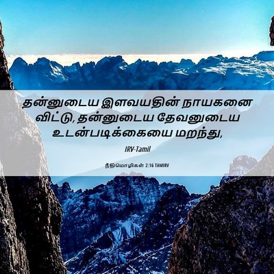 Picture 06 - நீதிமொழிகள் 2:16 TAMIRV - தன்னுடைய இளவயதின் - Bible Verse Picture