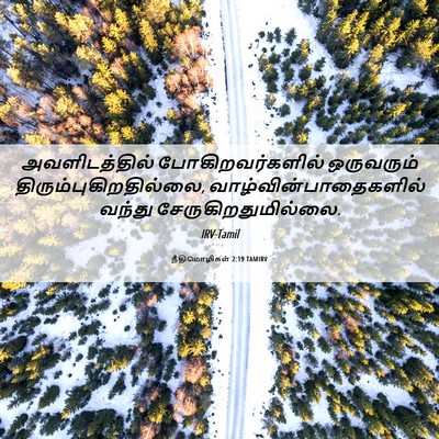 Picture 06 - நீதிமொழிகள் 2:19 TAMIRV - அவளிடத்தில் - Bible Verse Picture