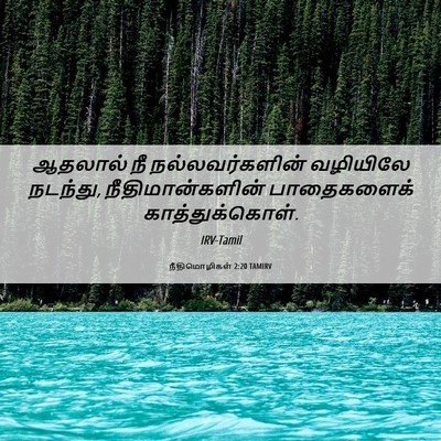 Picture 06 - நீதிமொழிகள் 2:20 TAMIRV - ஆதலால் நீ - Bible Verse Picture