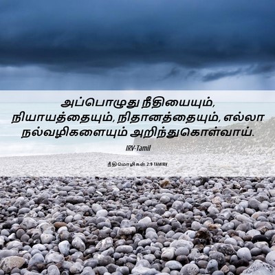 Picture 06 - நீதிமொழிகள் 2:9 TAMIRV - அப்பொழுது - Bible Verse Picture