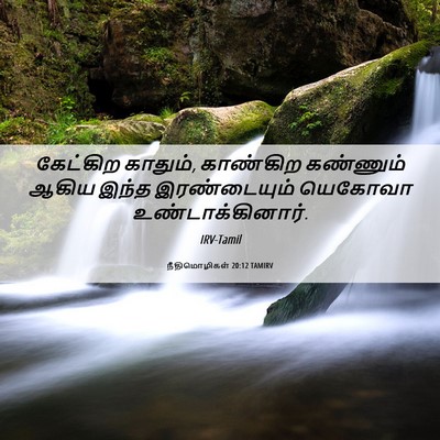 Picture 06 - நீதிமொழிகள் 20:12 TAMIRV - கேட்கிற காதும், - Bible Verse Picture