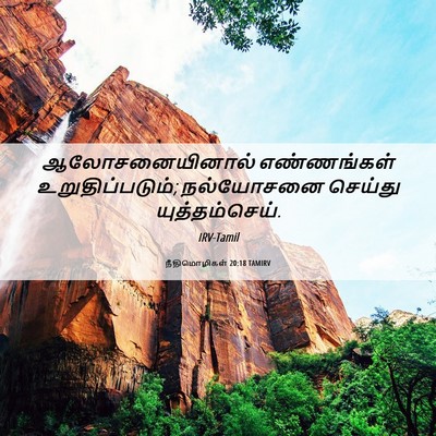 Picture 06 - நீதிமொழிகள் 20:18 TAMIRV - ஆலோசனையினால் - Bible Verse Picture