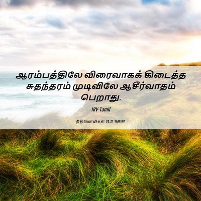 Picture 06 - நீதிமொழிகள் 20:21 TAMIRV - ஆரம்பத்திலே - Bible Verse Picture