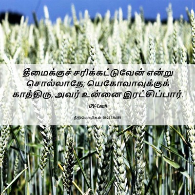 Picture 06 - நீதிமொழிகள் 20:22 TAMIRV - தீமைக்குச் - Bible Verse Picture
