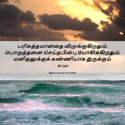 Picture 06 - நீதிமொழிகள் 20:25 TAMIRV - பரிசுத்தமானதை - Bible Verse Picture