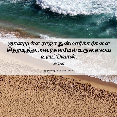 Picture 06 - நீதிமொழிகள் 20:26 TAMIRV - ஞானமுள்ள ராஜா - Bible Verse Picture