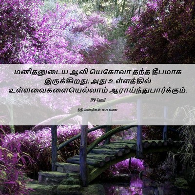Picture 06 - நீதிமொழிகள் 20:27 TAMIRV - மனிதனுடைய ஆவி - Bible Verse Picture