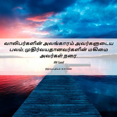 Picture 06 - நீதிமொழிகள் 20:29 TAMIRV - வாலிபர்களின் - Bible Verse Picture