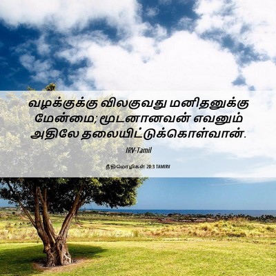 Picture 06 - நீதிமொழிகள் 20:3 TAMIRV - வழக்குக்கு - Bible Verse Picture