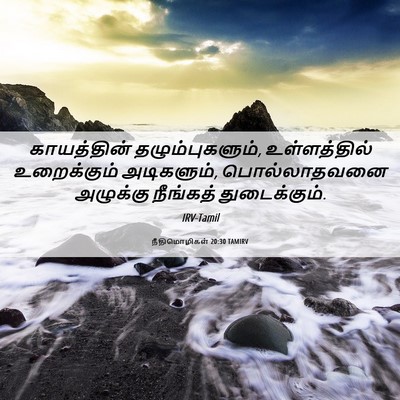 Picture 06 - நீதிமொழிகள் 20:30 TAMIRV - காயத்தின் - Bible Verse Picture