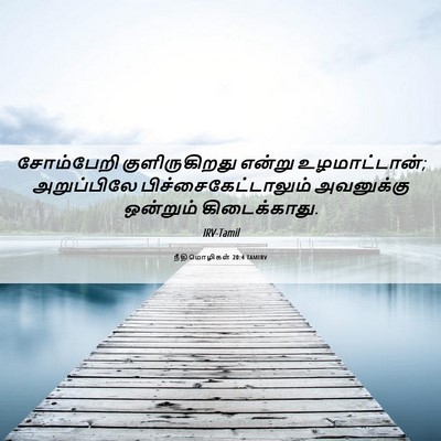 Picture 06 - நீதிமொழிகள் 20:4 TAMIRV - சோம்பேறி - Bible Verse Picture