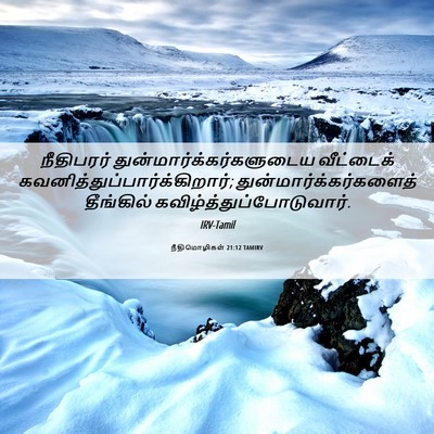 Picture 06 - நீதிமொழிகள் 21:12 TAMIRV - நீதிபரர் - Bible Verse Picture