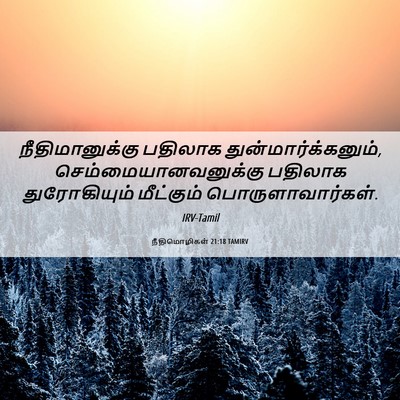 Picture 06 - நீதிமொழிகள் 21:18 TAMIRV - நீதிமானுக்கு - Bible Verse Picture