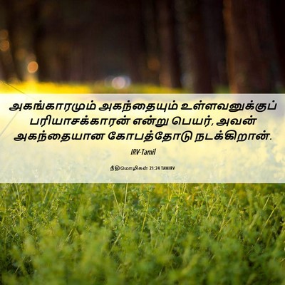 Picture 06 - நீதிமொழிகள் 21:24 TAMIRV - அகங்காரமும் - Bible Verse Picture
