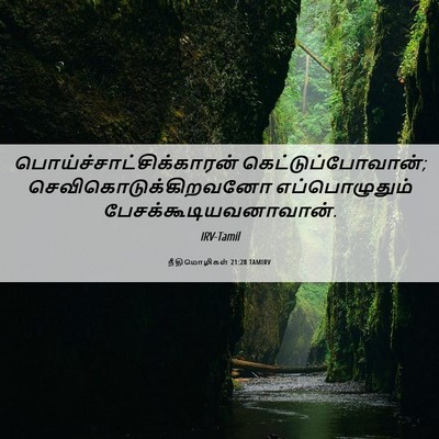 Picture 06 - நீதிமொழிகள் 21:28 TAMIRV -  - Bible Verse Picture