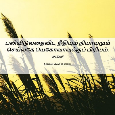 Picture 06 - நீதிமொழிகள் 21:3 TAMIRV - பலியிடுவதைவிட, - Bible Verse Picture