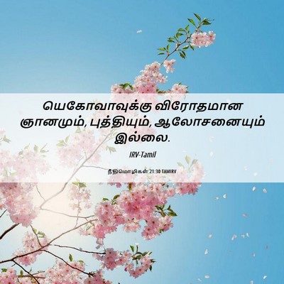 Picture 06 - நீதிமொழிகள் 21:30 TAMIRV - யெகோவாவுக்கு - Bible Verse Picture
