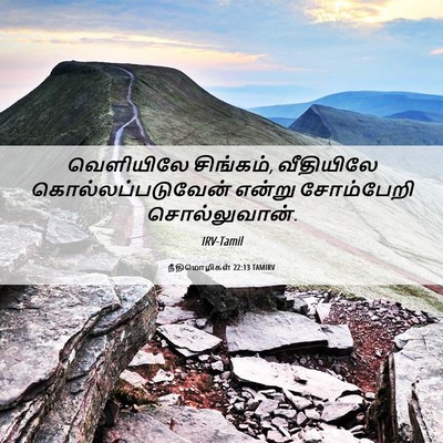Picture 06 - நீதிமொழிகள் 22:13 TAMIRV - வெளியிலே சிங்கம், - Bible Verse Picture