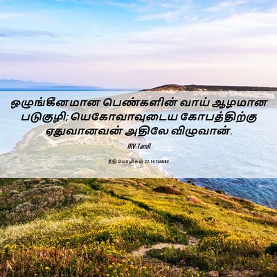 Picture 06 - நீதிமொழிகள் 22:14 TAMIRV - ஒழுங்கீனமான - Bible Verse Picture