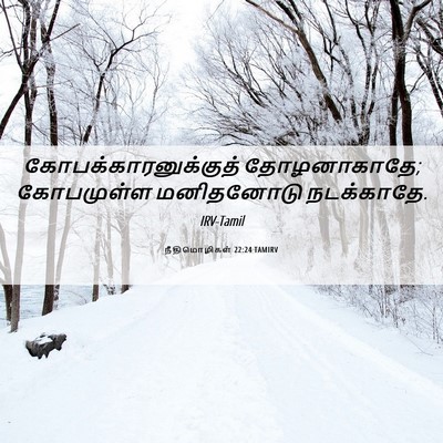 Picture 06 - நீதிமொழிகள் 22:24 TAMIRV - கோபக்காரனுக்குத் - Bible Verse Picture