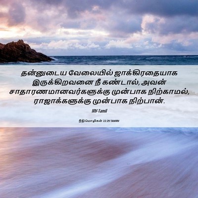 Picture 06 - நீதிமொழிகள் 22:29 TAMIRV - தன்னுடைய வேலையில் - Bible Verse Picture