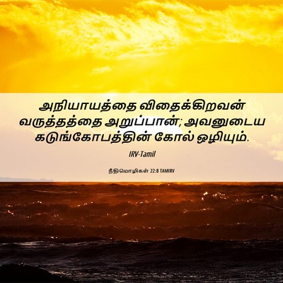 Picture 06 - நீதிமொழிகள் 22:8 TAMIRV - அநியாயத்தை - Bible Verse Picture