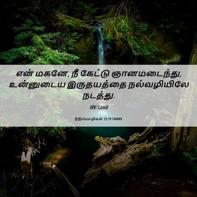 Picture 06 - நீதிமொழிகள் 23:19 TAMIRV - என் மகனே, நீ கேட்டு - Bible Verse Picture