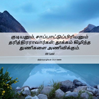 Picture 06 - நீதிமொழிகள் 23:21 TAMIRV - குடியனும், - Bible Verse Picture