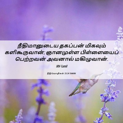 Picture 06 - நீதிமொழிகள் 23:24 TAMIRV - நீதிமானுடைய - Bible Verse Picture
