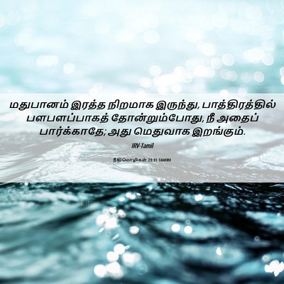 Picture 06 - நீதிமொழிகள் 23:31 TAMIRV - மதுபானம் இரத்த - Bible Verse Picture