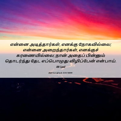 Picture 06 - நீதிமொழிகள் 23:35 TAMIRV - என்னை - Bible Verse Picture