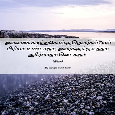 Picture 06 - நீதிமொழிகள் 24:25 TAMIRV - அவனைக் - Bible Verse Picture