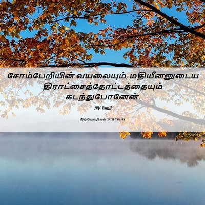 Picture 06 - நீதிமொழிகள் 24:30 TAMIRV - சோம்பேறியின் - Bible Verse Picture
