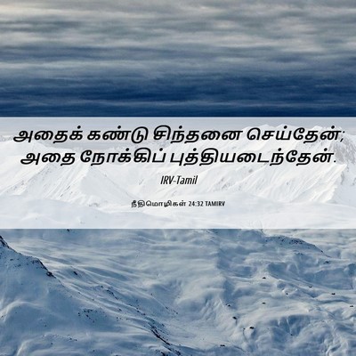 Picture 06 - நீதிமொழிகள் 24:32 TAMIRV - அதைக் கண்டு - Bible Verse Picture