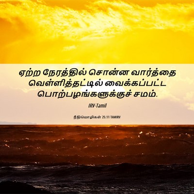 Picture 06 - நீதிமொழிகள் 25:11 TAMIRV - ஏற்ற நேரத்தில் - Bible Verse Picture