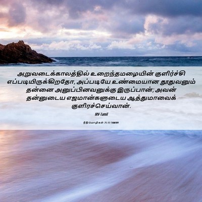 Picture 06 - நீதிமொழிகள் 25:13 TAMIRV -  - Bible Verse Picture