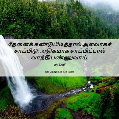 Picture 06 - நீதிமொழிகள் 25:16 TAMIRV - தேனைக் - Bible Verse Picture