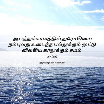 Picture 06 - நீதிமொழிகள் 25:19 TAMIRV -  - Bible Verse Picture