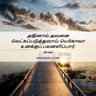 Picture 06 - நீதிமொழிகள் 25:22 TAMIRV - அதினால் அவனை - Bible Verse Picture