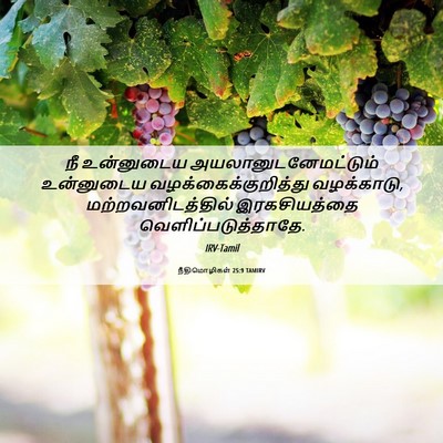 Picture 06 - நீதிமொழிகள் 25:9 TAMIRV - நீ உன்னுடைய - Bible Verse Picture