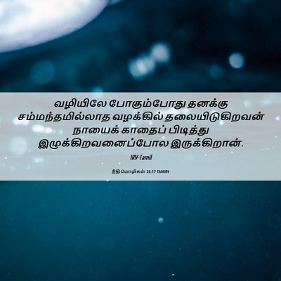 Picture 06 - நீதிமொழிகள் 26:17 TAMIRV - வழியிலே - Bible Verse Picture